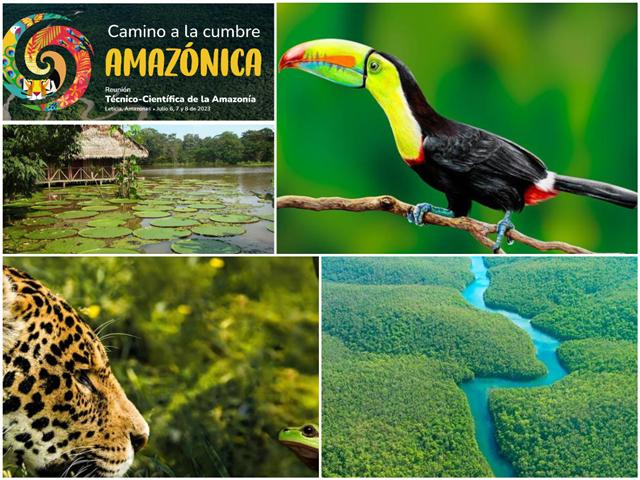 Spotkanie w drodze na szczyt Amazonii zaczyna się w Kolumbii