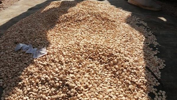 siria-frustra-intento-de-narcotrafico-hacia-el-exterior