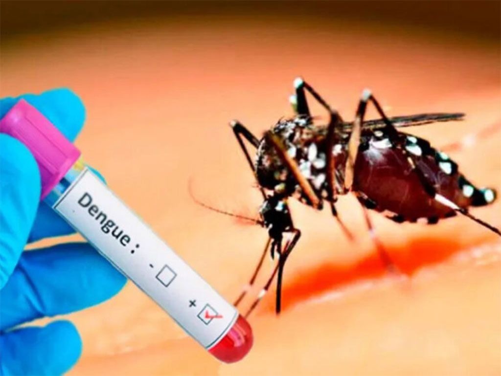 reportan-en-uruguay-nuevos-contagios-de-dengue