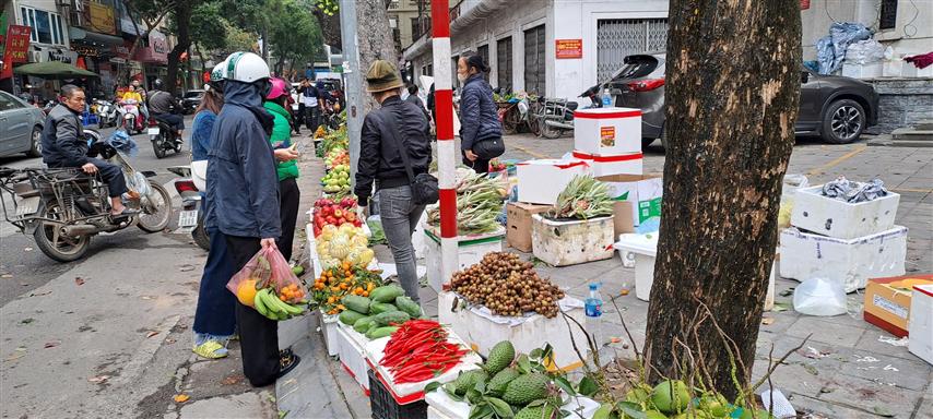  vietnam-inmerso-en-preparativos-para-esperar-el-ano-del-dragon