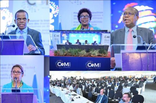 paises-africanos-convocados-a-una-transicion-hacia-economias-verdes