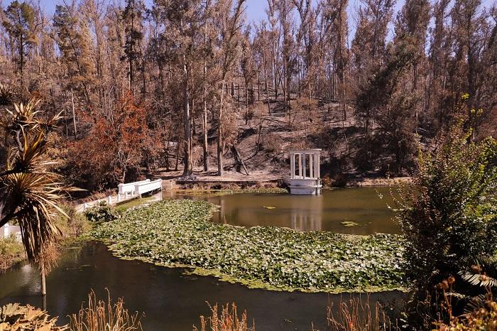  restauraran-jardin-botanico-de-vina-del-mar-arrasado-por-incendios