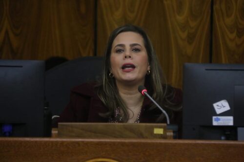 exsenadora-paraguaya-impugna-autoritarismo-que-causo-su-expulsion
