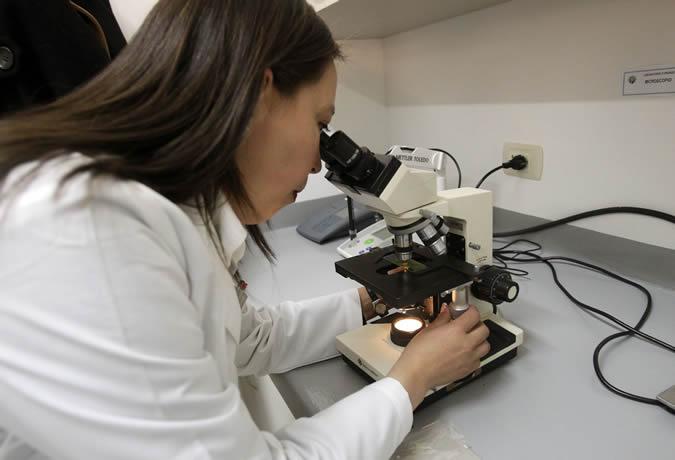 cepal-llama-a-acelerar-el-ritmo-para-lograr-la-igualdad-de-genero