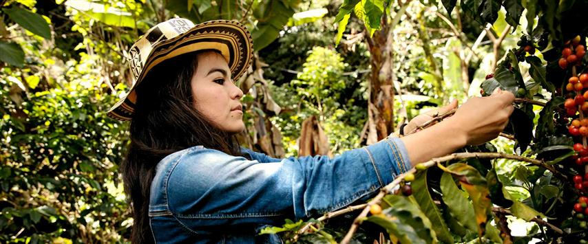 cepal-llama-a-acelerar-el-ritmo-para-lograr-la-igualdad-de-genero