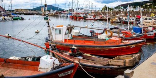 flota-pesquera-industrial-paralizada-afirman-patronales-en-uruguay