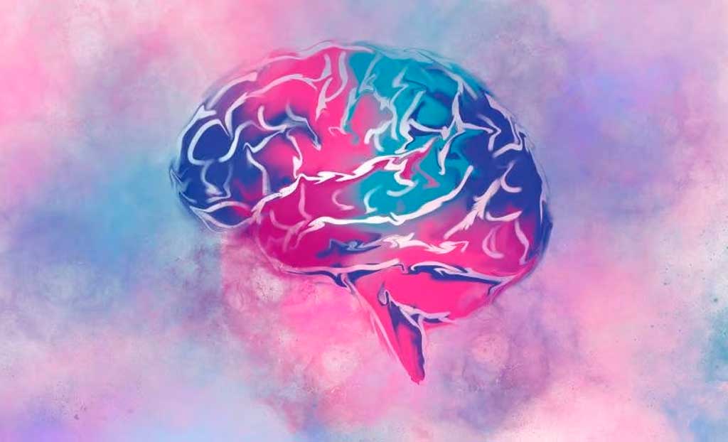 efectos-del-sueno-y-ejercicio-podrian-durar-en-el-cerebro-por-15-dias