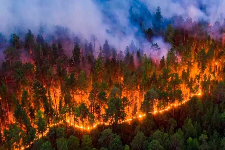 alistan-a-bomberos-en-paraguay-contra-incendios-forestales