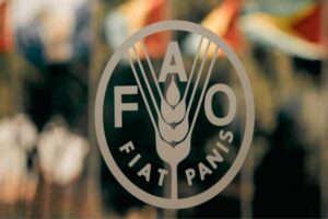 fao-realizo-consulta-agroalimentaria-sobre-latinoamerica-y-el-caribe