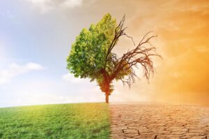 chilenos-preocupados-por-cambio-climatico-segun-sondeo-internacional