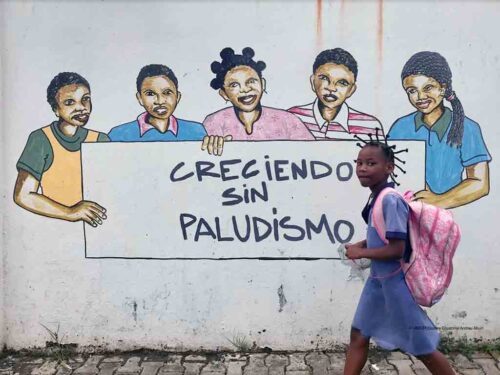 guinea-ecuatorial-evalua-financiacion-para-lucha-anti-paludismo/