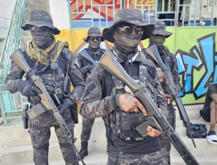 diario-denuncio-demora-de-eeuu-en-entregar-armas-a-haiti