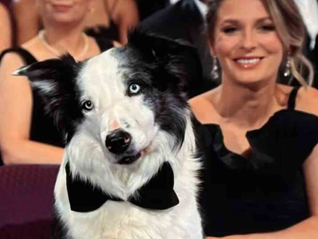 un-can-se-robo-el-show-en-los-premios-oscar