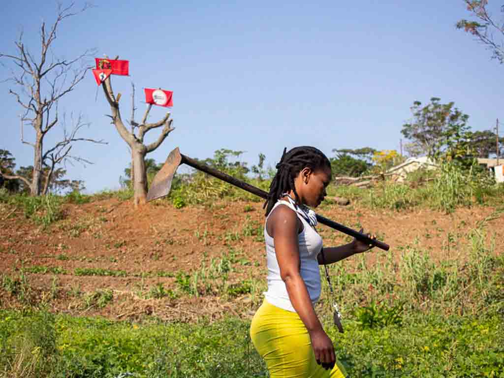 autoridades-de-sudafrica-combaten-ocupacion-ilegal-de-tierras