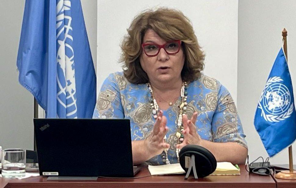 relatora-de-la-onu-cuestiono-derecho-a-la-cultura-en-chile
