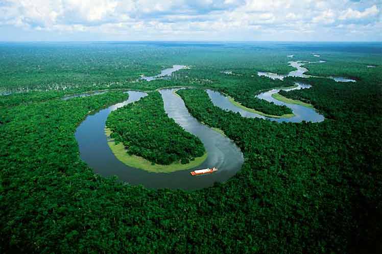 investigadores-de-bolivia-realizan-aporte-a-ictiologia-amazonica