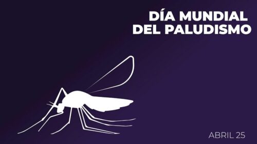 dia-mundial-del-paludismo-promueve-inversion-para-su-control