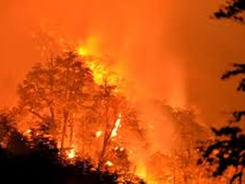 incendios-en-el-salvador-destruyen-dos-mil-hectareas