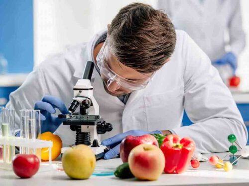 celebran-dia-internacional-de-oposicion-a-los-alimentos-transgenicos