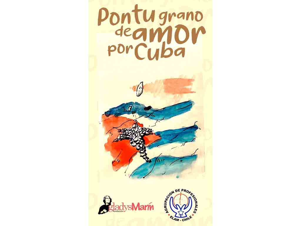 lanzan-en-chile-campana-de-solidaridad-con-cuba