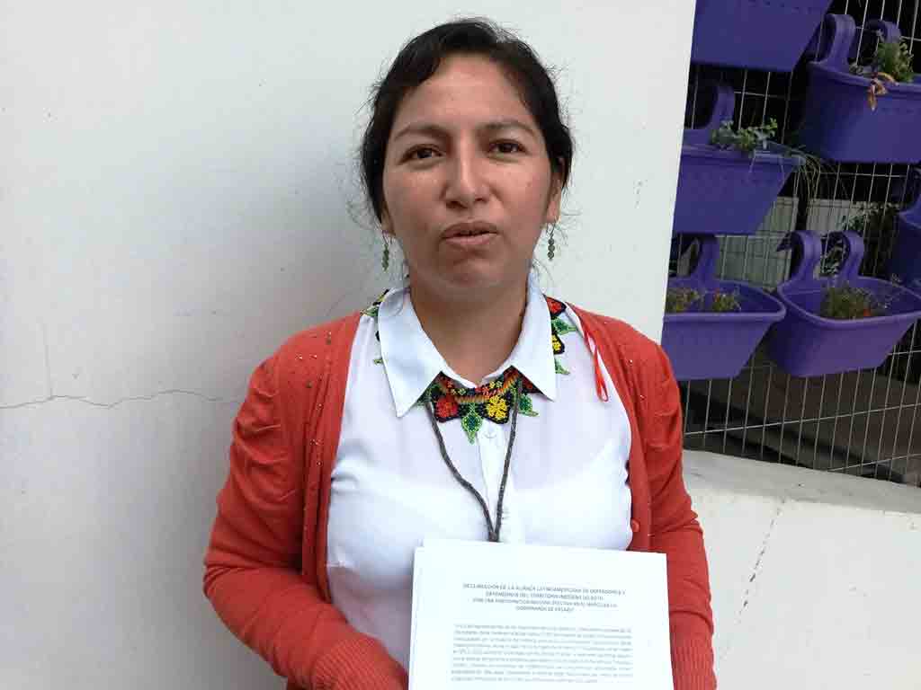 indigenas-demandan-en-chile-mas-participacion-en-acuerdo-de-escazu