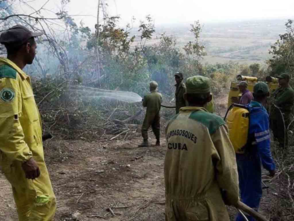 sofocado-incendio-forestal-en-occidente-de-cuba