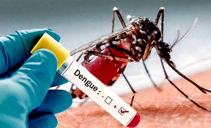 aumentan-en-chile-casos-de-dengue-en-su-mayoria-importados