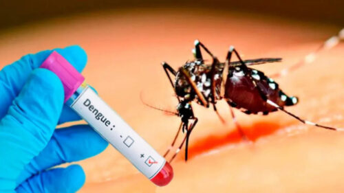 investigan-otra-muerte-vinculada-al-dengue-en-uruguay