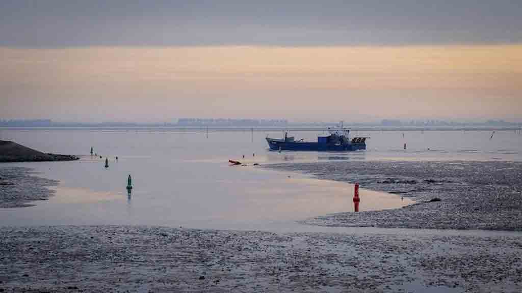 miles-de-acres-de-estuarios-convertidos-en-urbes-y-granjas-en-35-anos