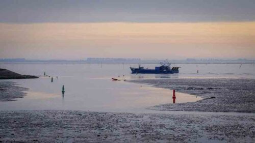 miles-de-acres-de-estuarios-convertidos-en-urbes-y-granjas-en-35-anos