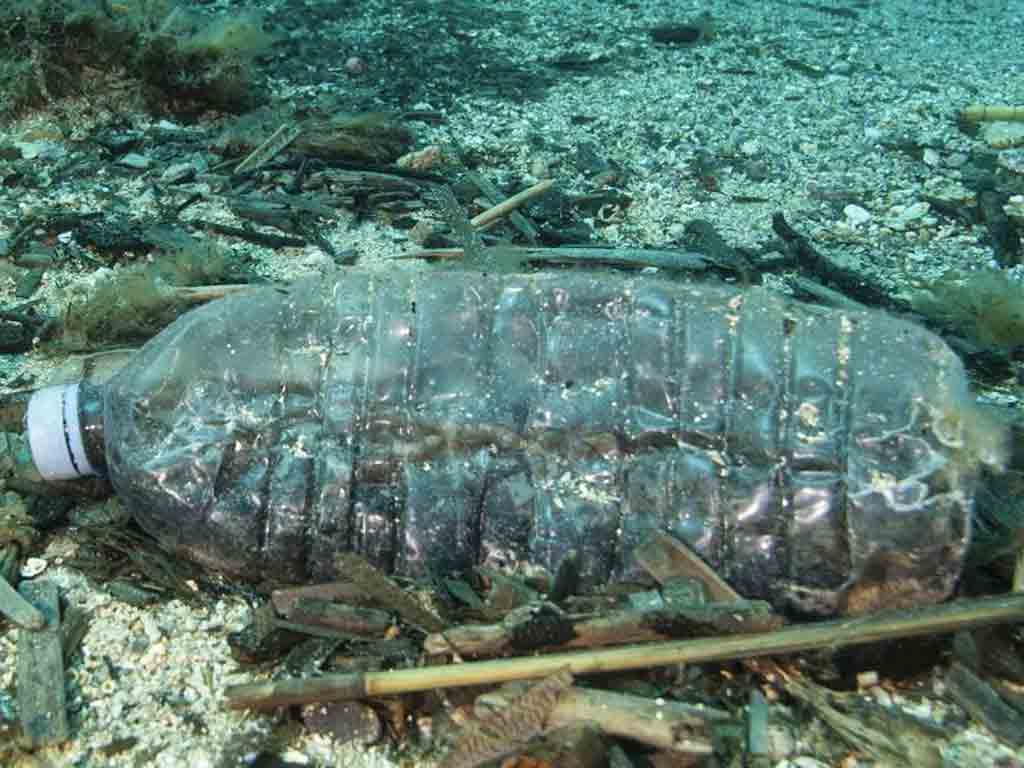 unos-11-millones-de-toneladas-de-plastico-estan-en-el-fondo-marino