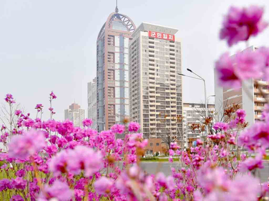 primavera-en-pyongyang/