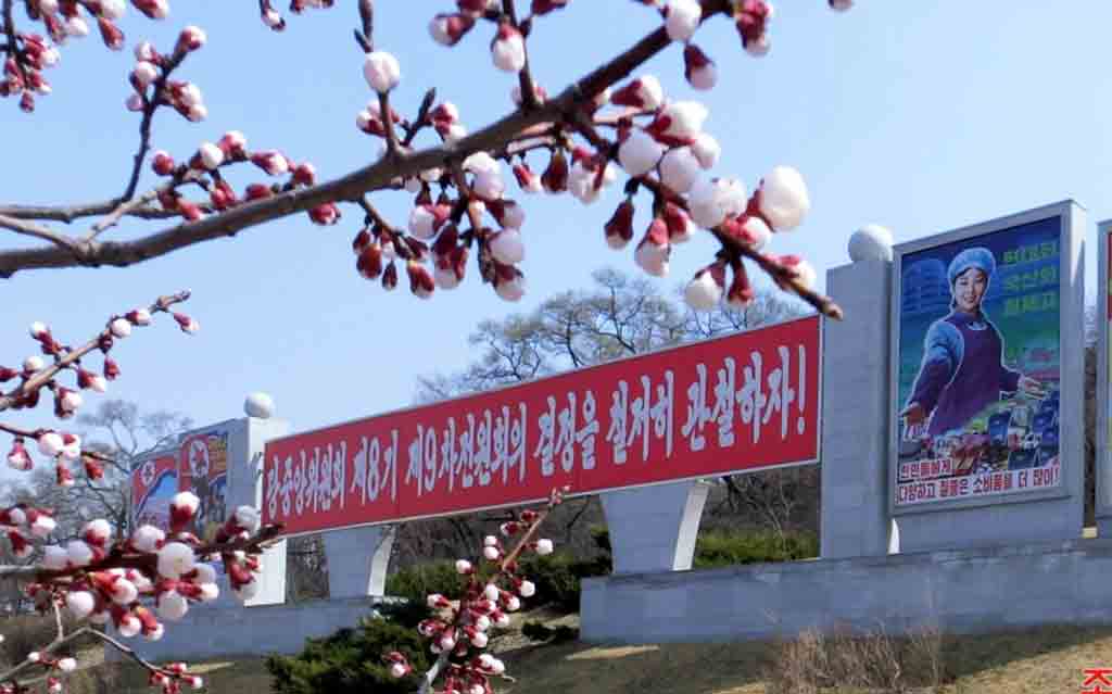 primavera-en-pyongyang/