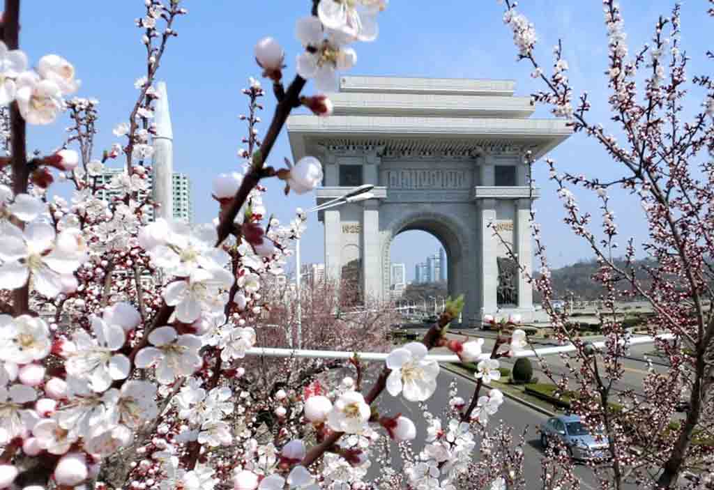 primavera-en-pyongyang/