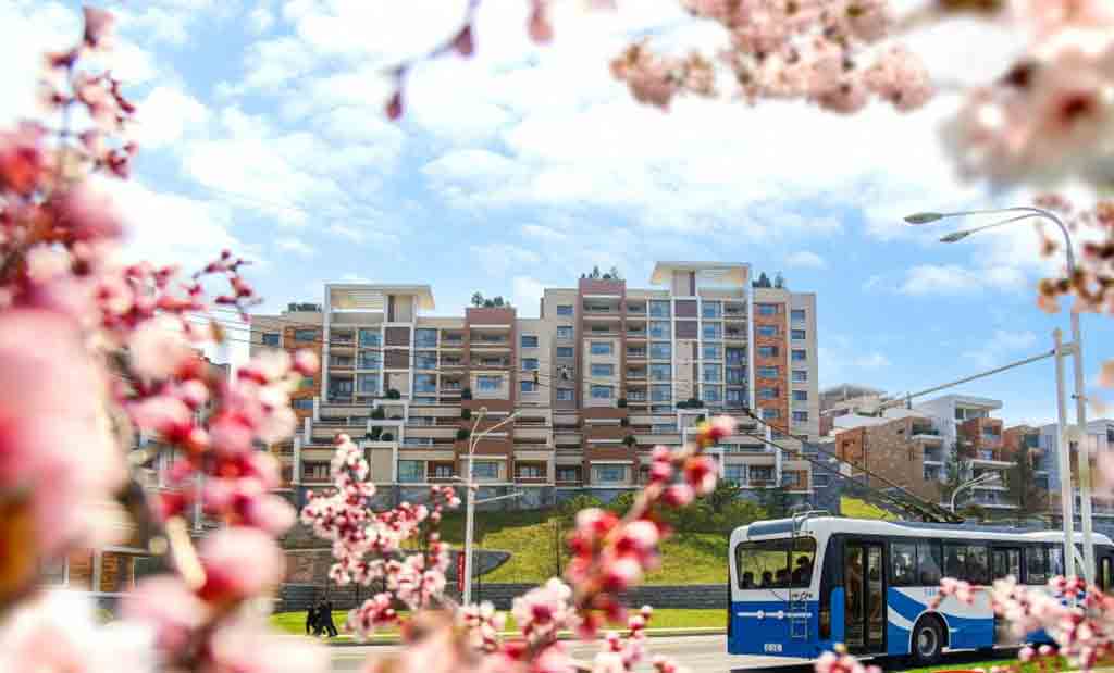primavera-en-pyongyang/