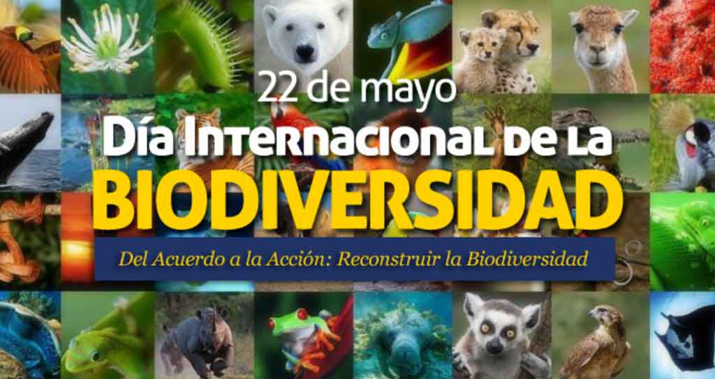 instan-a-medidas-concretas-para-detener-perdida-de-biodiversidad