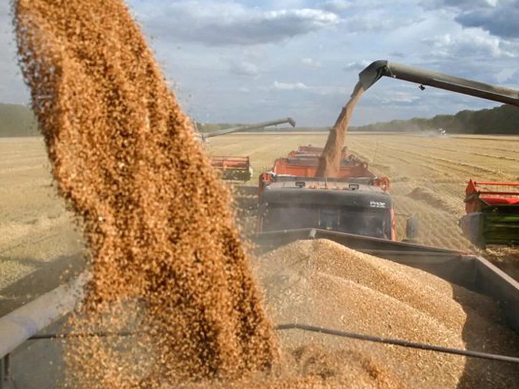 rusia-incrementa-exportaciones-de-granos