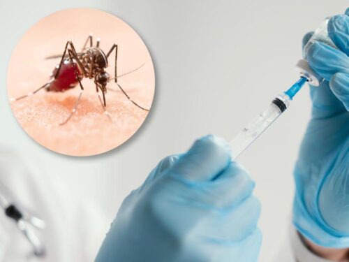tak-003-segunda-vacuna-contra-el-dengue-precalificada-por-la-oms
