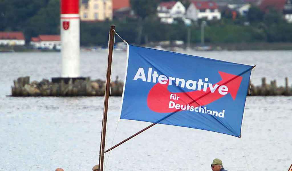 partido-ultraderechista-de-alemania-expulsado-de-grupo-en-eurocamara