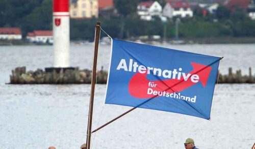 partido-ultraderechista-de-alemania-expulsado-de-grupo-en-eurocamara