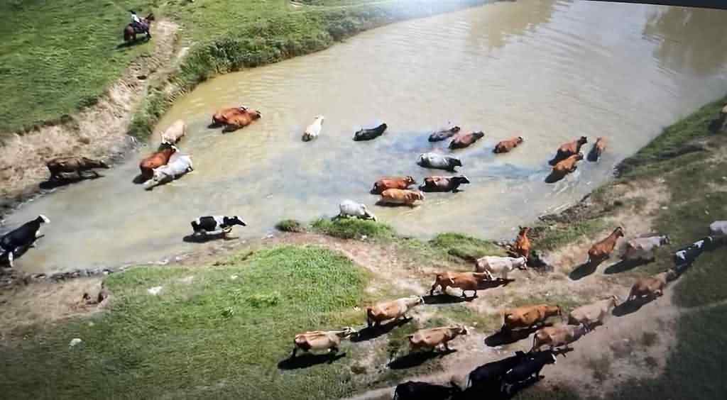 aplicaran-paquete-de-medidas-para-ayudar-a-damnificados-en-colombia