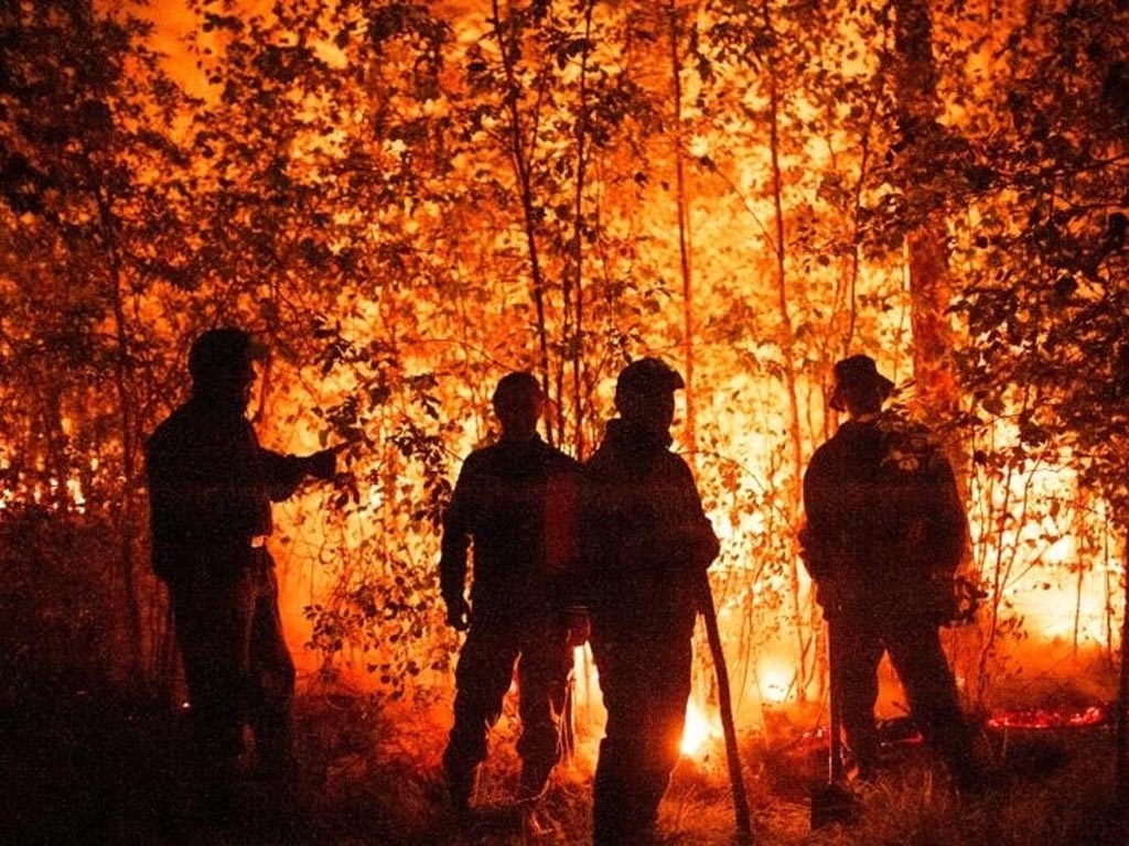 incremento-de-incendios-afecta-bosques-tropicales-de-africa