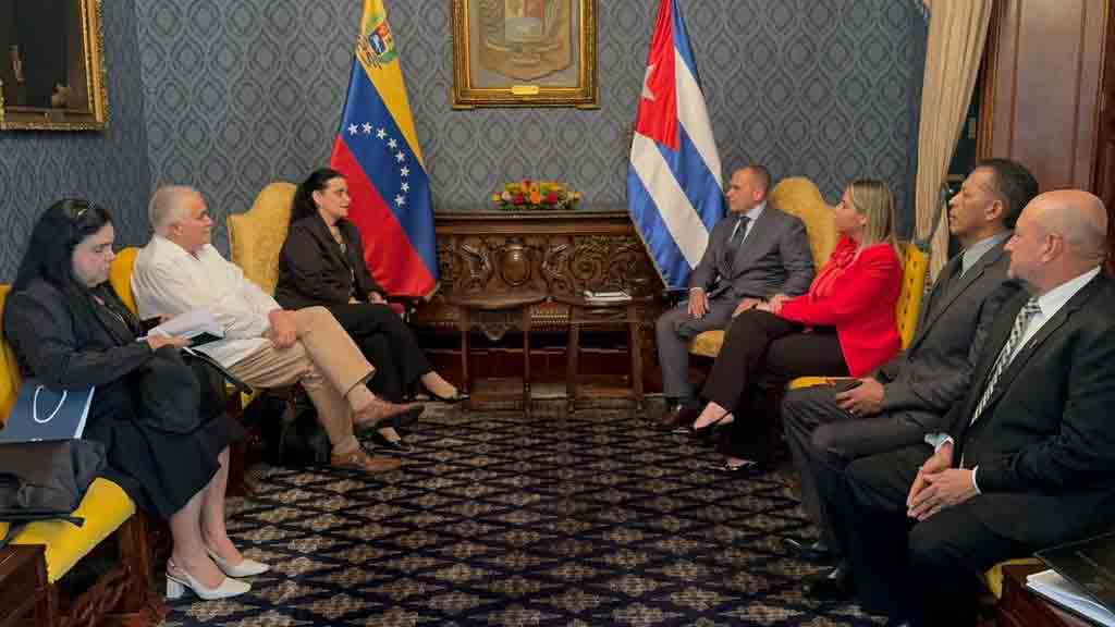 venezuela-y-cuba-fortalecen-relaciones-en-seguridad-ciudadana