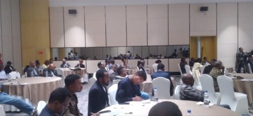 destacan-papel-de-prensa-etiope-en-avance-de-construccion-de-presa