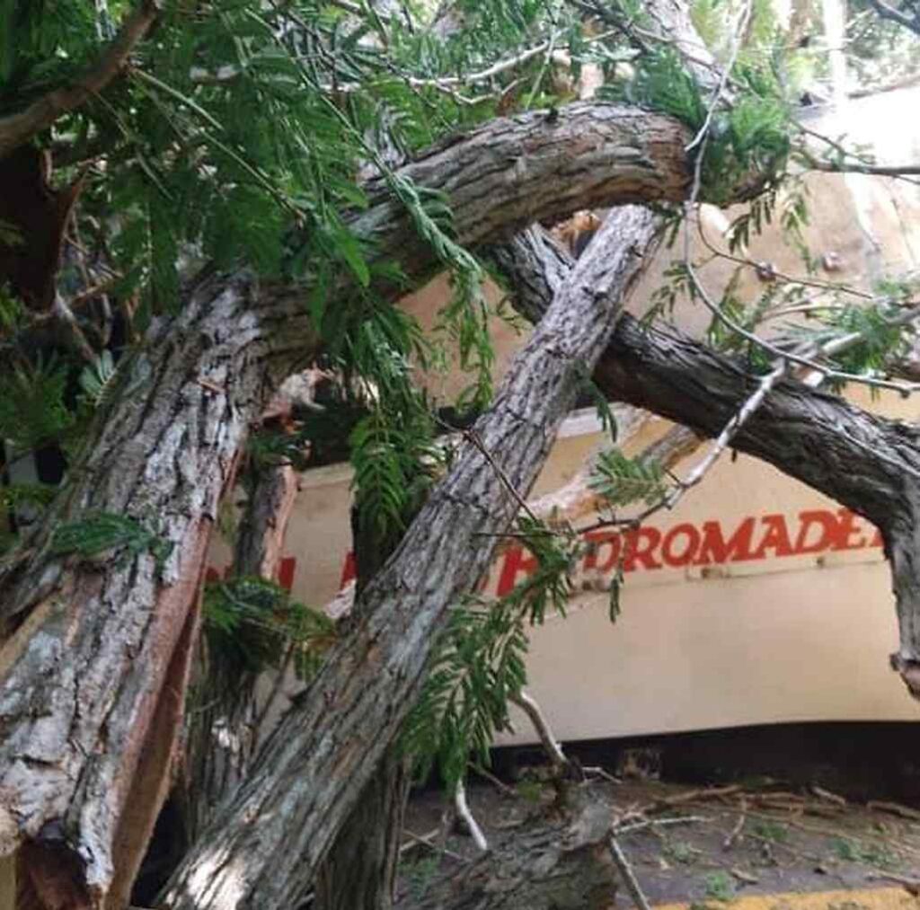 accidente-aereo-en-zona-arrocera-de-provincia-central-de-cuba