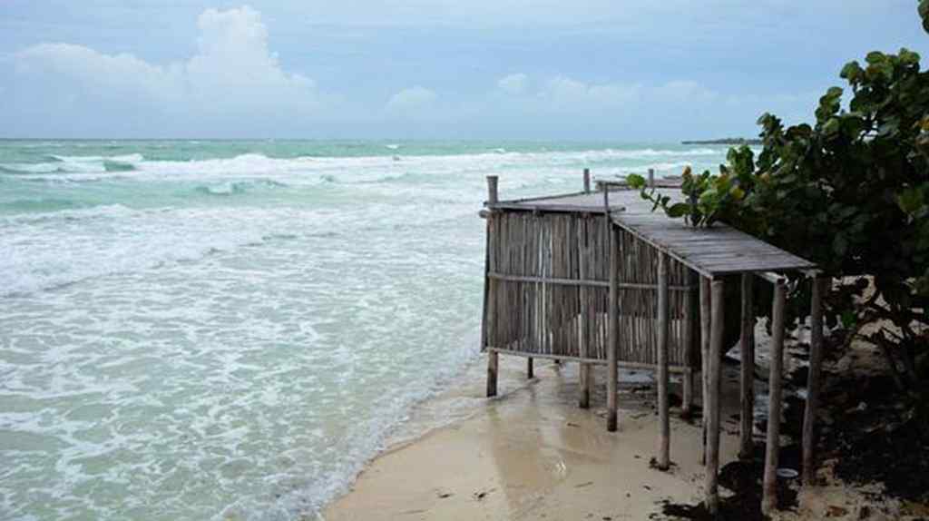 continuan-acciones-del-plan-tarea-vida-en-cayeria-norte-de-cuba