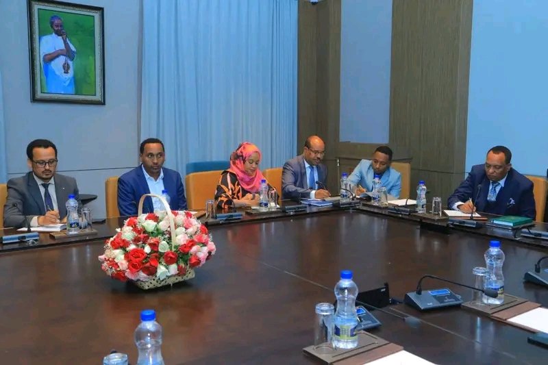 etiopia-impulsa-fabricacion-de-vehiculos-electricos