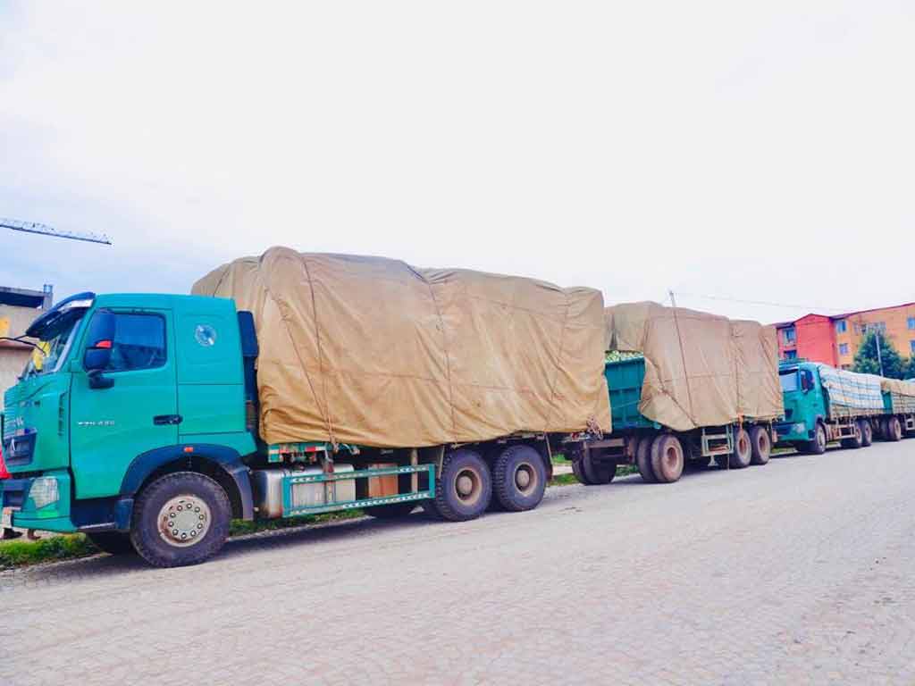 administracion-de-addis-abeba-envio-ayuda-a-zona-afectada-por-alud