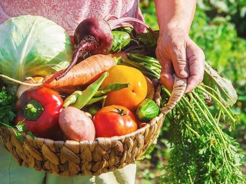 serio-reto-para-alimentacion-en-el-salvador-2