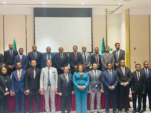 nuevos-embajadores-de-etiopia-convocados-a-priorizar-interes-nacional